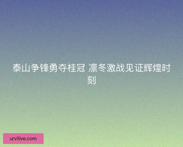 泰山争锋勇夺桂冠 凛冬激战见证辉煌时刻